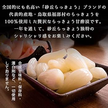 鳥取県産 砂丘らっきょう ★6/1発送予定★ 楽天市場】【季節限定】鳥取砂丘産新物らっきょう甘酢漬け 2025